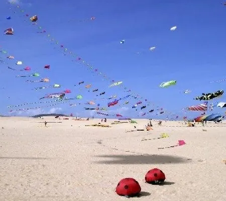 Stylish Host, Heated Pool & High Speed Wifi *